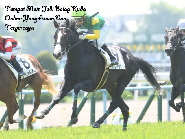 Tempat Main Judi Balap Kuda Online Yang Aman Dan Terpercaya